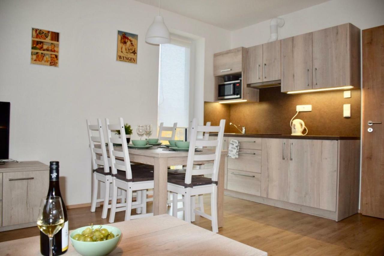 Apartman Dolni Morava *